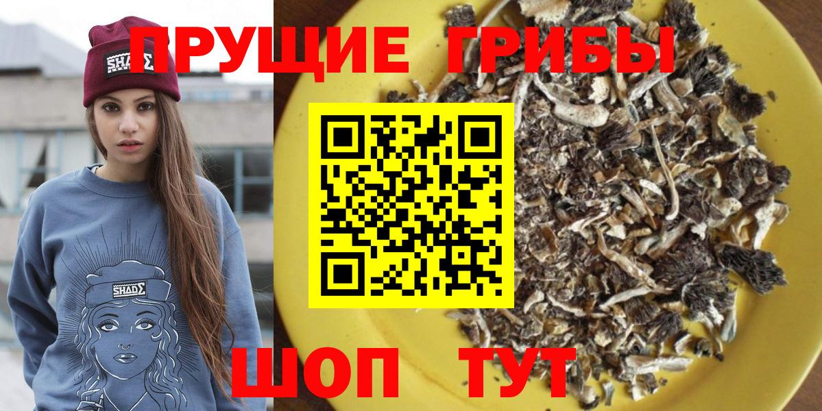 Тулун  Псилоцибиновые грибы GOLDEN TEACHER  Вход с VPN 